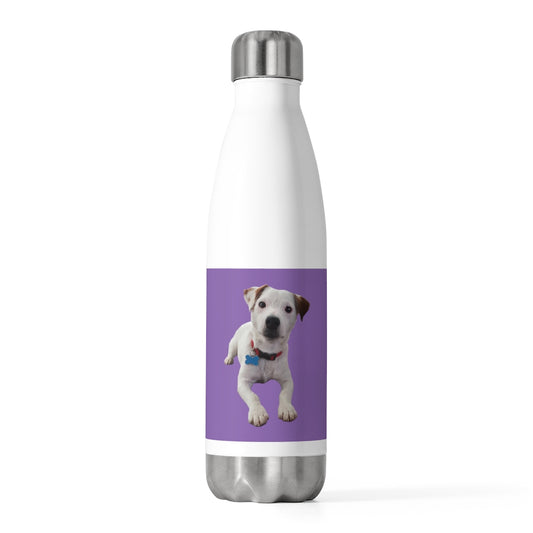 TIR Purple "Buddy" 20oz Insulated Stainless Steel Bottle